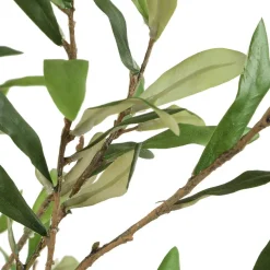 Mor Furniture Abundance Olive Tree Plant