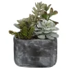 Mor Furniture Alverio Succulents