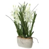 Mor Furniture Ariana Orchid Plant