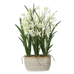 Mor Furniture Ariana Orchid Plant