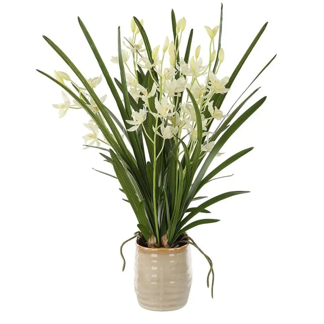 Mor Furniture Ariana Orchid Plant