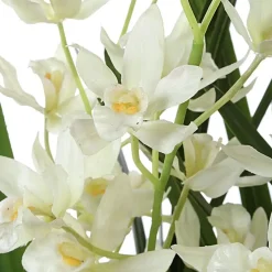 Mor Furniture Ariana Orchid Plant