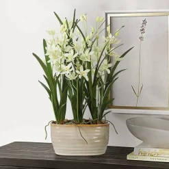 Mor Furniture Ariana Orchid Plant