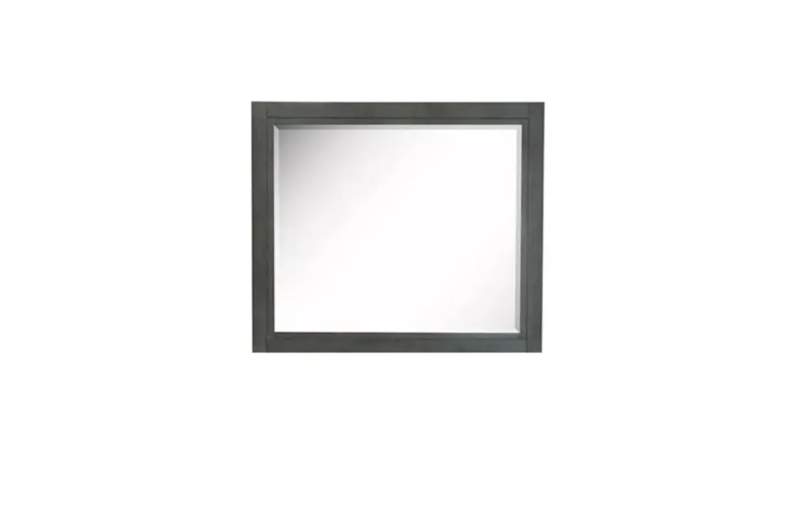 Mor Furniture Aspen Valley Mirror In Black