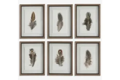 Mor Furniture Birds Of A Feather Wall Art, Set Of 6