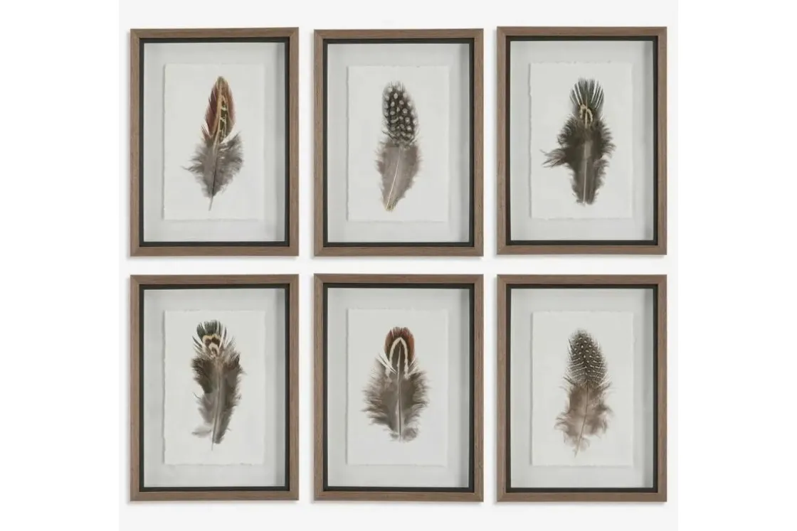Mor Furniture Birds Of A Feather Wall Art, Set Of 6
