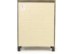 Mor Furniture Blue Ridge Chest In Rustic Gray