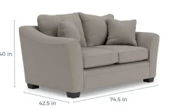 Mor Furniture Brazil Sofa & Loveseat - Custom Order