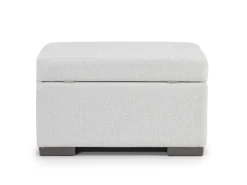 Mor Furniture Dennon Storage Ottoman In