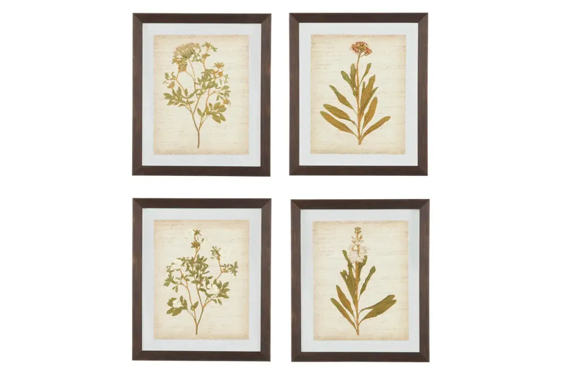 Mor Furniture Dyani Wall Art, Set Of 4