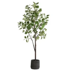 Mor Furniture Eden Fig Tree Plant
