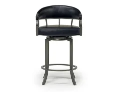 Mor Furniture Edy Counter Height Stool In Mineral & Black, Swivel
