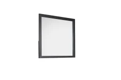 Mor Furniture Elk River Mirror In Brown