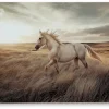 Mor Furniture Errolville Horse On Glass Wall Art