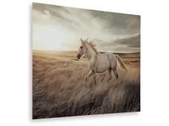 Mor Furniture Errolville Horse On Glass Wall Art