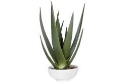 Mor Furniture Evarado Aloe Planter