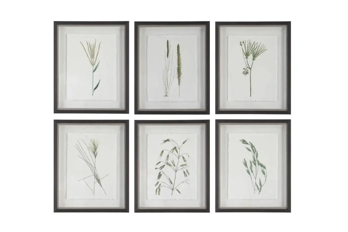 Mor Furniture Forest Finds Wall Art, Set Of 6