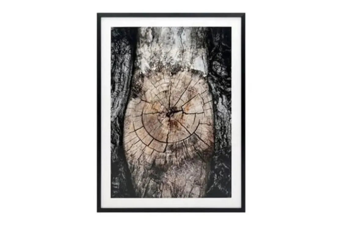 Mor Furniture Freyburn Wall Art