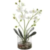 Mor Furniture Glory Orchid
