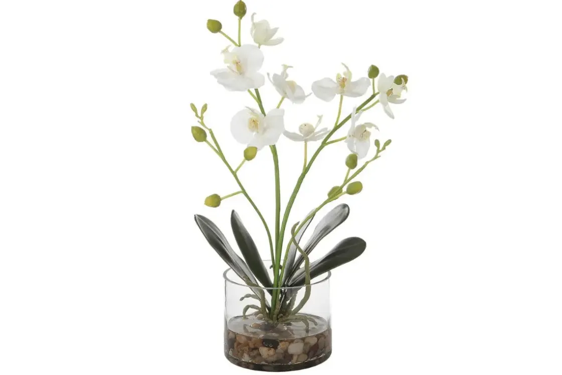 Mor Furniture Glory Orchid