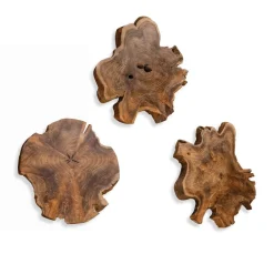 Mor Furniture Kalani Wood Wall Art In Bleached Brown, Set Of 3