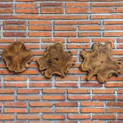 Mor Furniture Kalani Wood Wall Art In Bleached Brown, Set Of 3