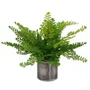 Mor Furniture Maidenhair Fern Plant