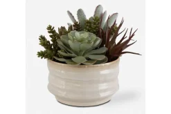 Mor Furniture Mesa Succulent
