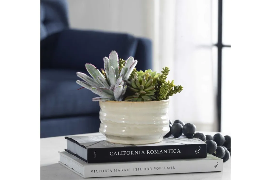 Mor Furniture Mesa Succulent