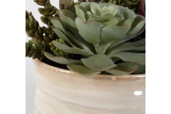 Mor Furniture Mesa Succulent