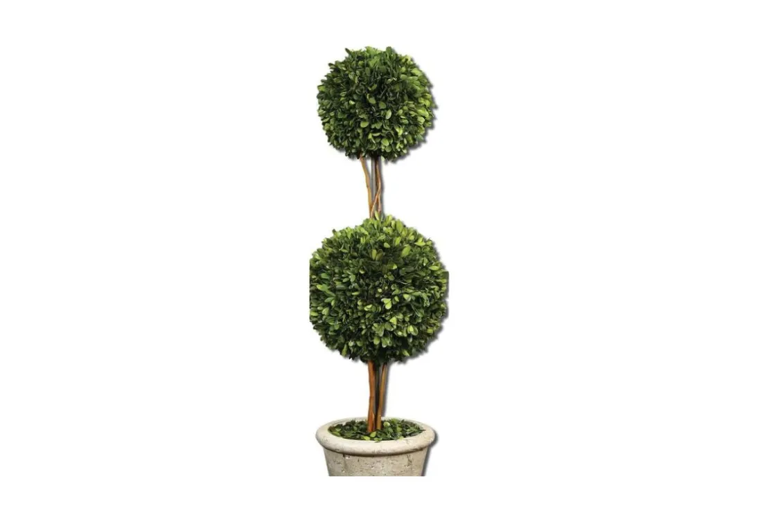 Mor Furniture Oval Domes Preserved Boxwood, Set Of 2