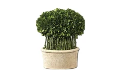 Mor Furniture Oval Domes Preserved Boxwood, Set Of 2