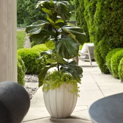 Mor Furniture Ridgehaven Planter Vase In Natural