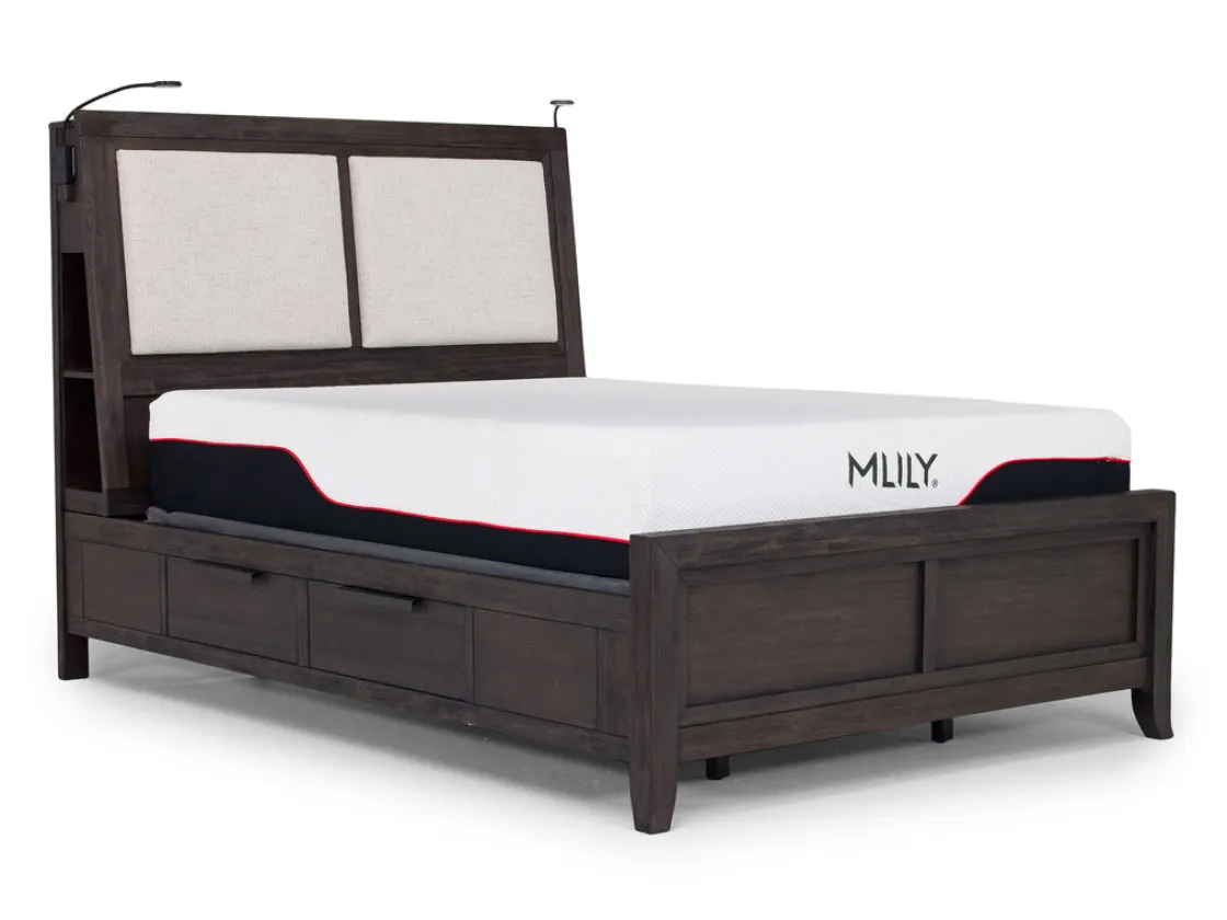 Mor Furniture Riley Bookcase Bed In Carbonite, Ca King