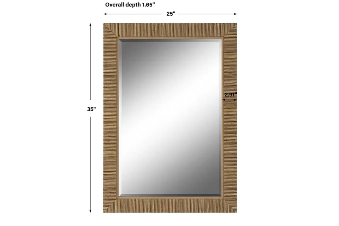 Mor Furniture Roland Accent Mirror In Brown
