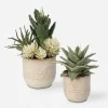 Mor Furniture Seaside Succulents, Set Of 2