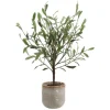 Mor Furniture Solea Olive Tree