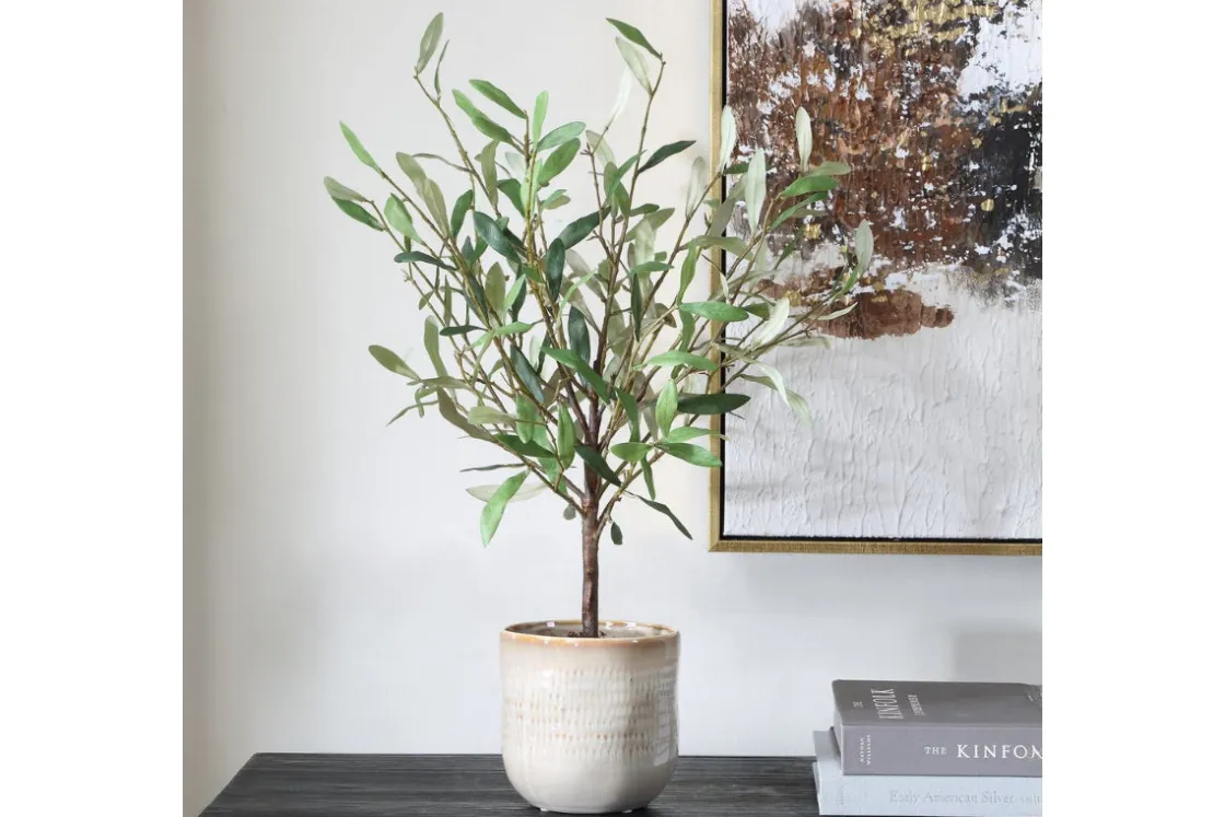 Mor Furniture Solea Olive Tree