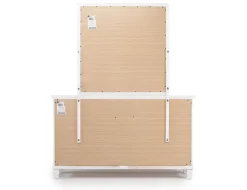 Mor Furniture Tamarack Mirror In White