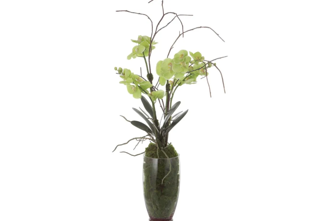 Mor Furniture Valdive Orchid