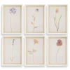 Mor Furniture Wild Flourish Wall Art, Set Of 6