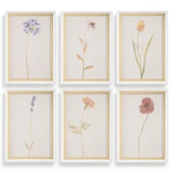 Mor Furniture Wild Flourish Wall Art, Set Of 6