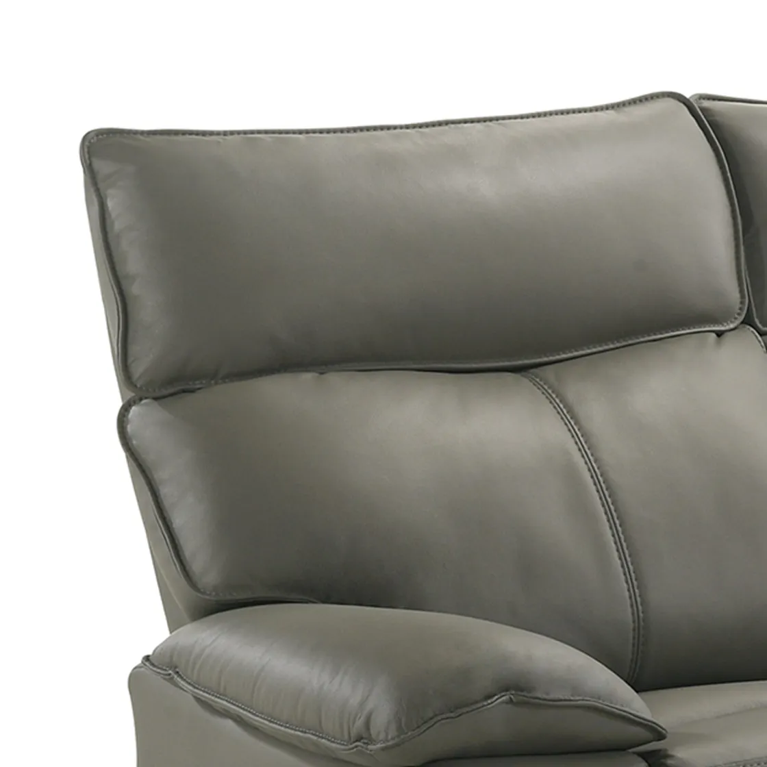 Mor Furniture Wildcat Reclining Sofa In Gray